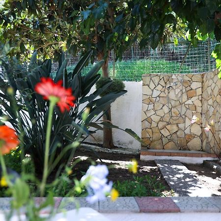 B&B Del Sole Tropea Riaci Экстерьер фото