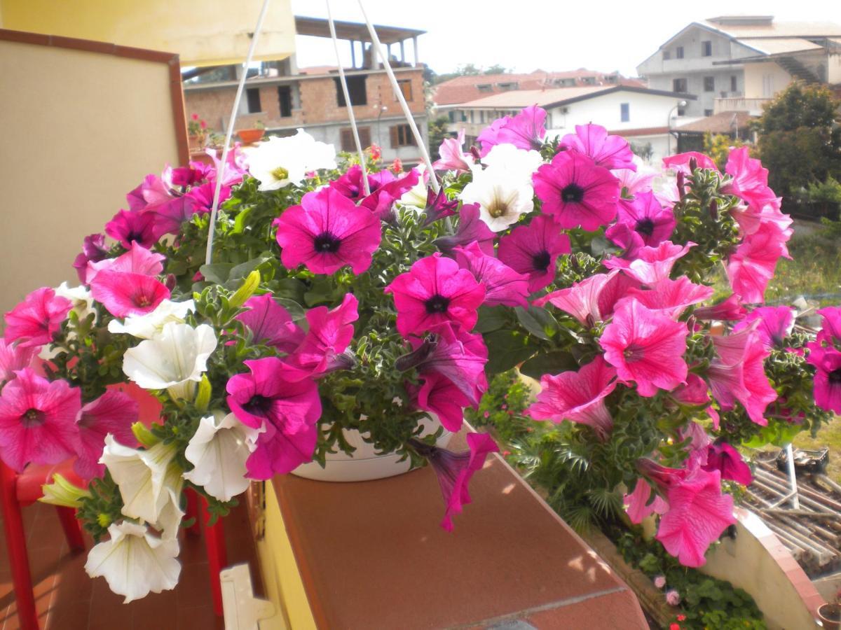 B&B Del Sole Tropea Riaci Экстерьер фото